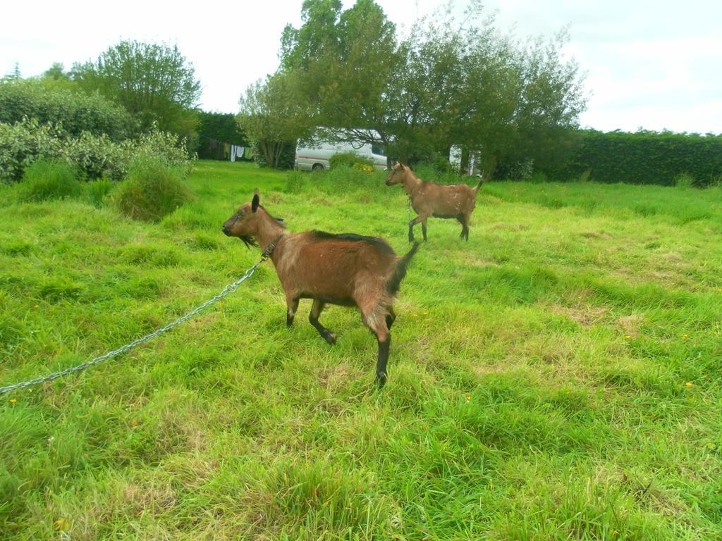 Les Mobile De Kerroyal * Garlan