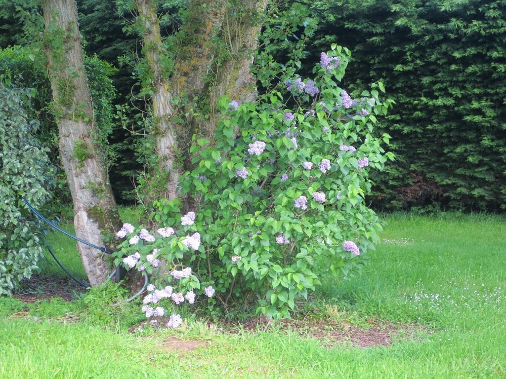 Les Mobile De Kerroyal Camping Garlan